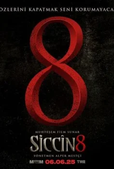 Siccin 8